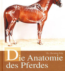 Die Anatomie des Pferdes